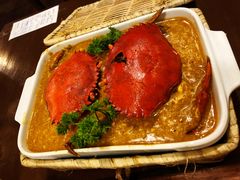 -茉莉.Red Crab