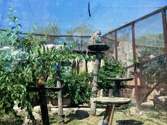 -沈阳森林动物园