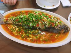 -飞虹鱼馆(春华路店)