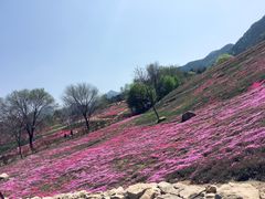 -昆嵛山石门里景区