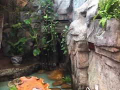 -勝記酒家·37年老字号·经典粤菜(荔枝公园店)
