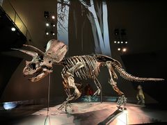 -墨尔本博物馆(Melbourne Museum)
