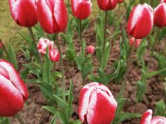 -两江国际影视城