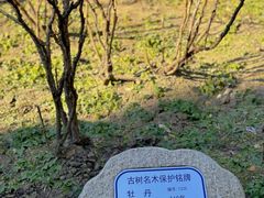 -龙华寺