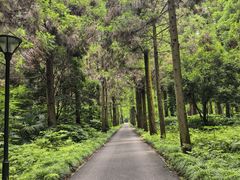 -上海怡沁园度假酒店