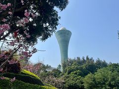 -狐尾山公园