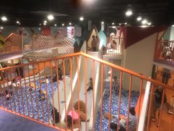 -Eureka优瑞卡儿童主题乐园(合生汇购物中心店)