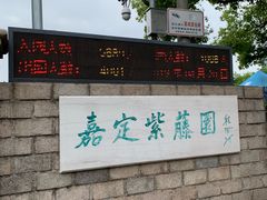 -嘉定紫藤园