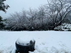 -中国茶叶博物馆(双峰馆区)