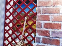 -疆里疆外·和田烤肉·清真