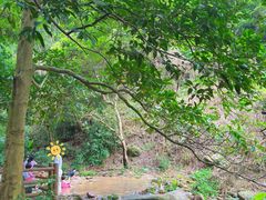 -火炉山森林公园