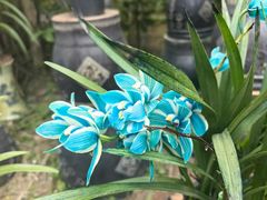 -北京植物园-展览温室