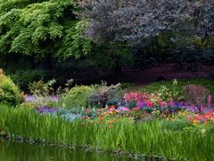 -上海共青森林公园