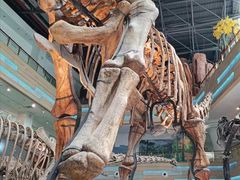 -安徽省地质博物馆