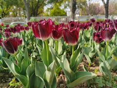 -玄武湖景区-情侣园游乐场