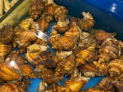 -海铺·渔家虾水饺(皇姑店)