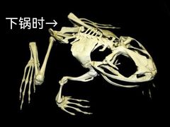 -金太阳海鲜烧烤·本地人餐厅(东纬路旗舰店)