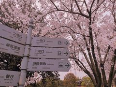 -上海辰山植物园