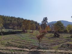 -塔川景区