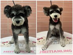 -FAELING PETS美天灵宠物(合生汇店)