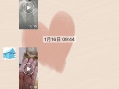 -宠物之家Pets Home 宠物寄养酒店