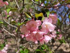 -朝阳公园