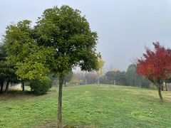 -贵阳市花溪国家城市湿地公园