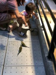 -酷嗒动物文化乐园(cutezoo西溪乐天城店)