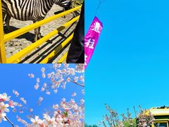 -旅顺博物馆