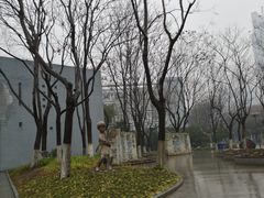 -金陵中学(河西分校)