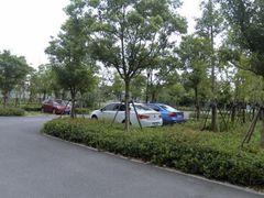 -上海浦江郊野公园·1号停车场