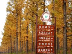 -御道口草原森林风景区