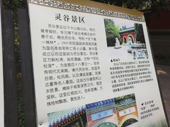 -灵谷景区