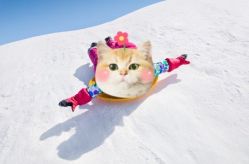 -优沃得自然教育农场·冰雪乐园·生日会·研学