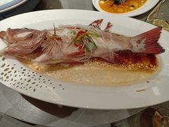 -神洲四海大酒楼(王府井澳门中心店)