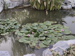-上海滨江森林公园