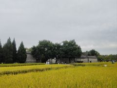 -北坞公园