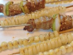 -金刚山烧烤(红旗大街店)