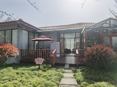 -高东镇樱花园