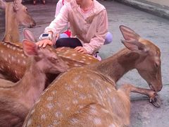 -正佳雨林生态植物园