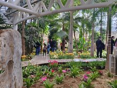 -石家庄市植物园