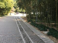 -苏州河梦清园环保主题公园