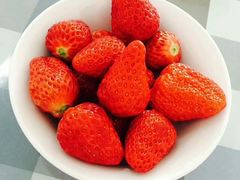 -缤果快跑水果店(河北凌云机电有限公司店)