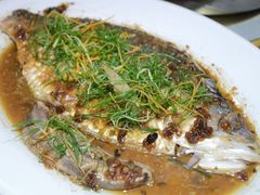 豉汁蒸三黎鱼-128海鲜餐厅