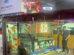 -车友必成·3M汽车贴膜/隐形车衣/改色膜(成都店)