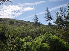 -驼梁风景区