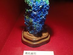 -广东省博物馆