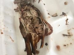 -老字号蛇口德记烧腊饭店·海鲜加工