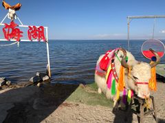 -青海湖国家重点风景名胜区