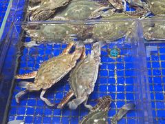 -高佳庄·舟山海鲜(海景旗舰店)